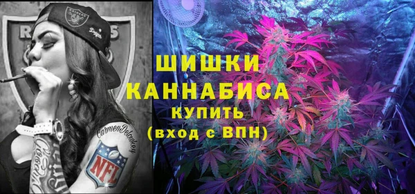 молекула духа Гусев