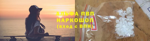 молекула духа Гусев