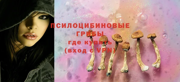 метадон Гусиноозёрск