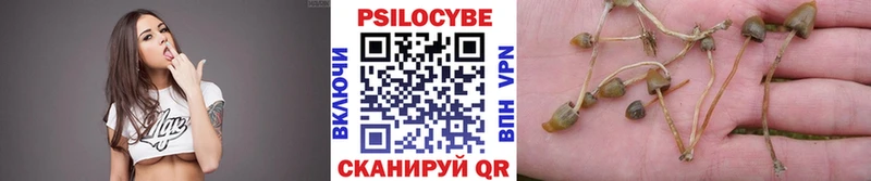 как найти наркотики Евпатория MEGA маркетплейс Псилоцибиновые грибы мухоморы